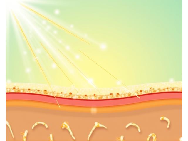 肌の上でミネラルUVフィルターが紫外線(太陽光)を跳ね返している様子を視覚化した図。